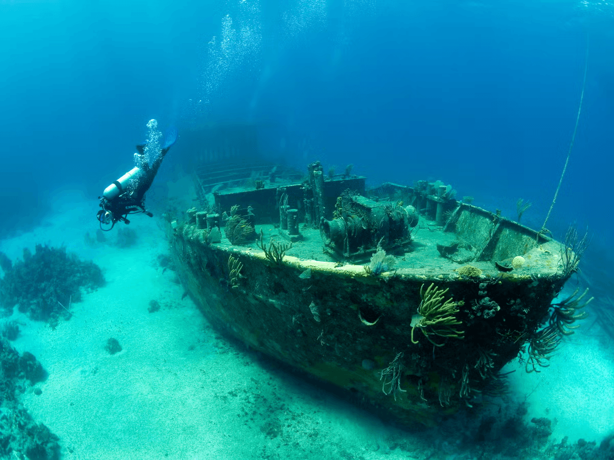 Anapos Treasure - image 4